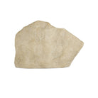 Currey and Company 1200-1071 Architectural Remnant in Beige