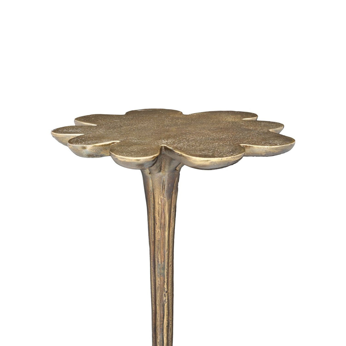 Currey and Company 4000-0246 Schizzo Accent Table in Oxidized Brass