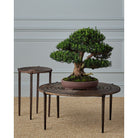 Currey and Company 4000-0257 Unity Cocktail Table in Antique Bronze/Dark Bronze