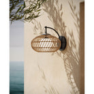 Currey and Company 5500-0060 Carriage Outdoor Wall Sconce in Natural/Black/Frosted White