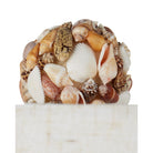 Currey and Company 6000-1055 Seascape Table Lamp in Natural