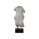 Currey and Company 1200-1086 Cyprus Torso on Metal Stand in Antique Off-White/Black