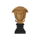 Currey and Company 1200-1103 Hypnos Head on Metal Plinth in Light Coral/Black