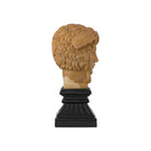 Currey and Company 1200-1103 Hypnos Head on Metal Plinth in Light Coral/Black