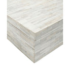 Currey and Company 1200-1131 Prothero Box in Natural