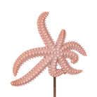 Currey and Company 1200-1171 Starfish Set of 2 in Pink
