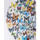 Currey and Company 1200-1172 Chroma Wall Art in Multi-Color