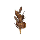 Currey and Company 5000-0308 Weston Wall Sconce in Magnolia Leaf