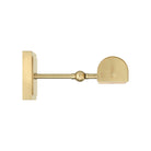Currey and Company 5400-0007 Pendleton Picture Light in Brushed Brass