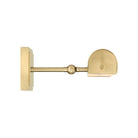 Currey and Company 5400-0009 Pendleton Picture Light in Brushed Brass