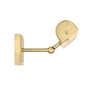 Currey and Company 5400-0009 Pendleton Picture Light in Brushed Brass