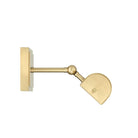Currey and Company 5400-0009 Pendleton Picture Light in Brushed Brass