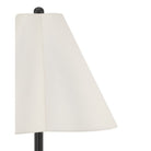 Currey and Company 8000-0184 Felicity Floor Lamp in Brushed Black