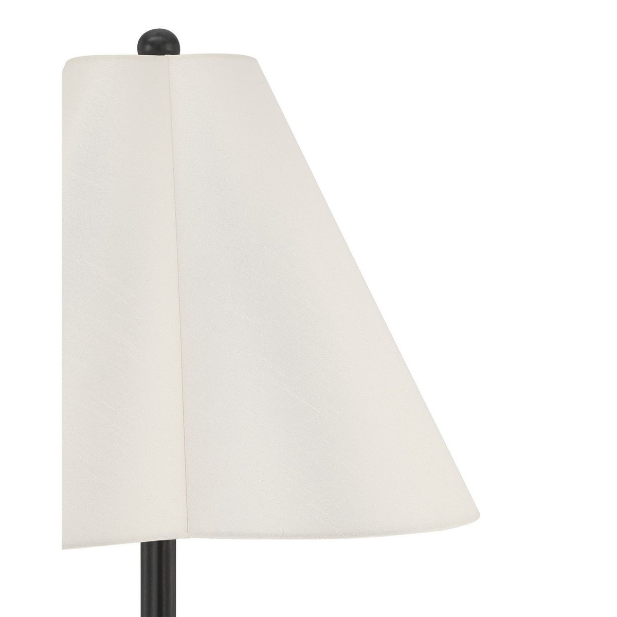 Currey and Company 8000-0184 Felicity Floor Lamp in Brushed Black