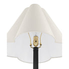 Currey and Company 8000-0184 Felicity Floor Lamp in Brushed Black