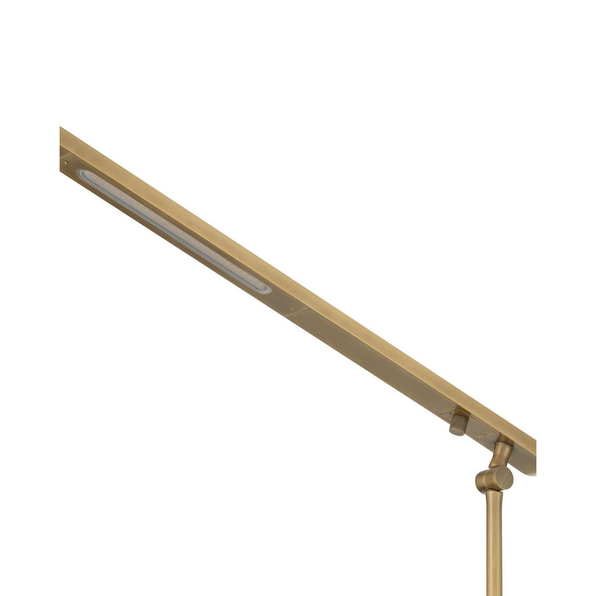 Currey and Company 8000-0185 Hanford Floor Lamp in Polished Antique Brass/Brown