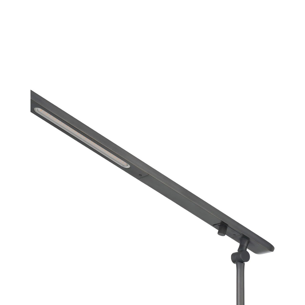 Currey and Company 8000-0186 Hanford Floor Lamp in Oil Rubbed Bronze/Black