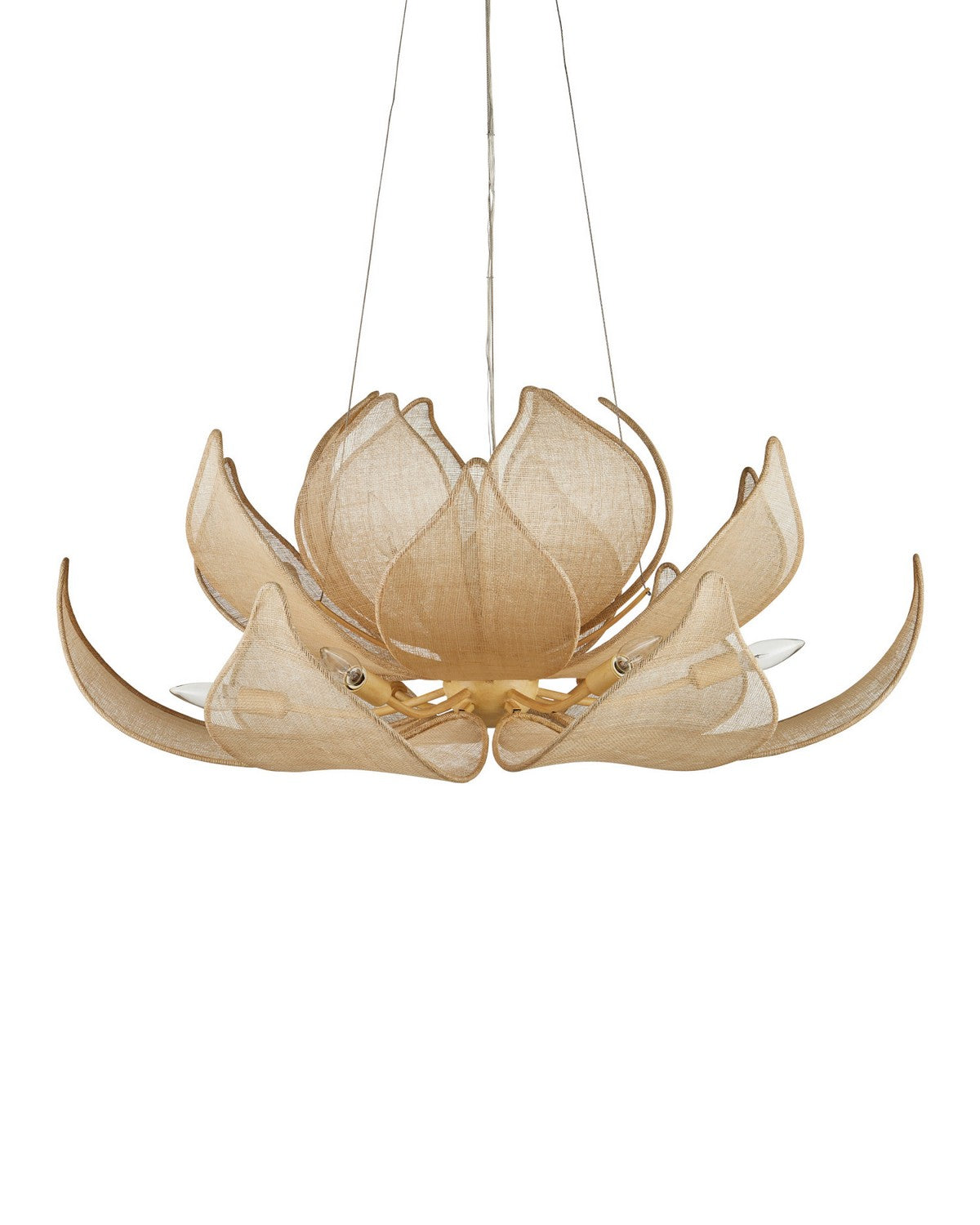 Currey and Company 9000-1430 Oblivion Chandelier in Natural/Coco Cream