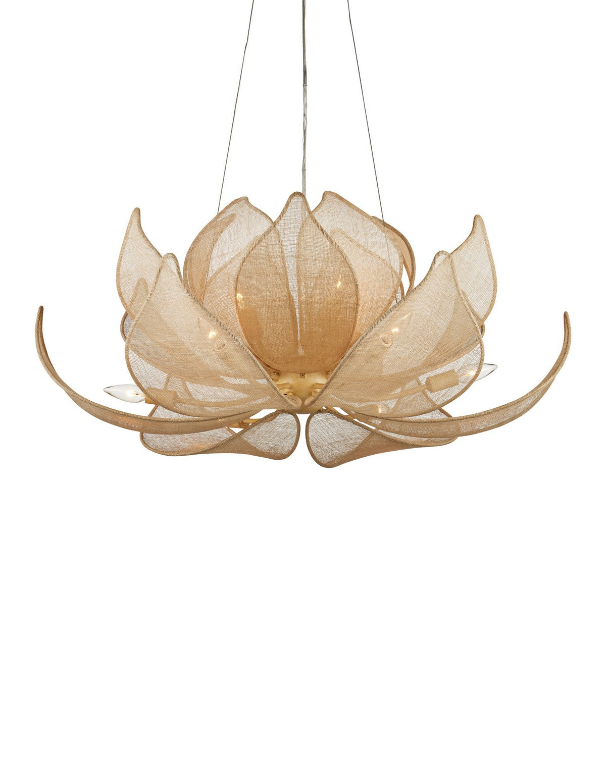 Currey and Company 9000-1430 Oblivion Chandelier in Natural/Coco Cream