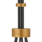 Currey and Company 9000-1481 Lawton Chandelier in Satin Black/Contemporary Gold Leaf