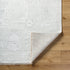 Le Blanc LBC-2300