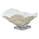 Regina Andrew - Coral Reef Bowl - 20-1030 | The Rug District