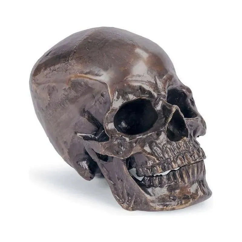 Regina Andrew - Metal Skull Sculpture - 20-1034BZ | The Rug District
