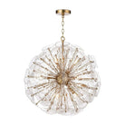 Regina Andrew - Poppy Glass Chandelier - 16-1243CLR | The Rug District