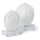 Regina Andrew - Turtle Shells on Crystal (Set of 2) - 20-1043 | The Rug District