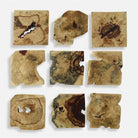 The Uttermost - Bahati Wall Decor - 04360 | The Rug District