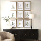 The Uttermost - Botanical Flowers Framed Prints, S/9 - 32339 | The Rug District