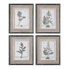 The Uttermost - Casual Grey Study Wall Art - 32510 | The Rug District