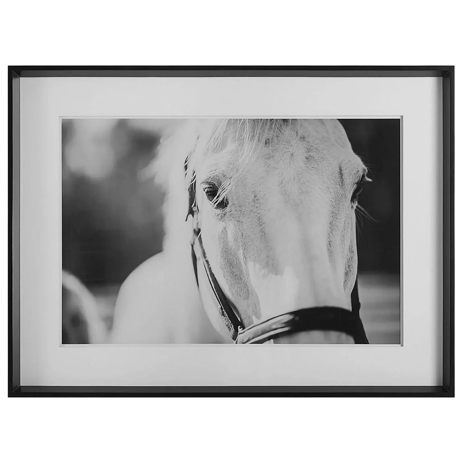 The Uttermost - Eyes On The Prize Framed Print - 41464 | The Rug District