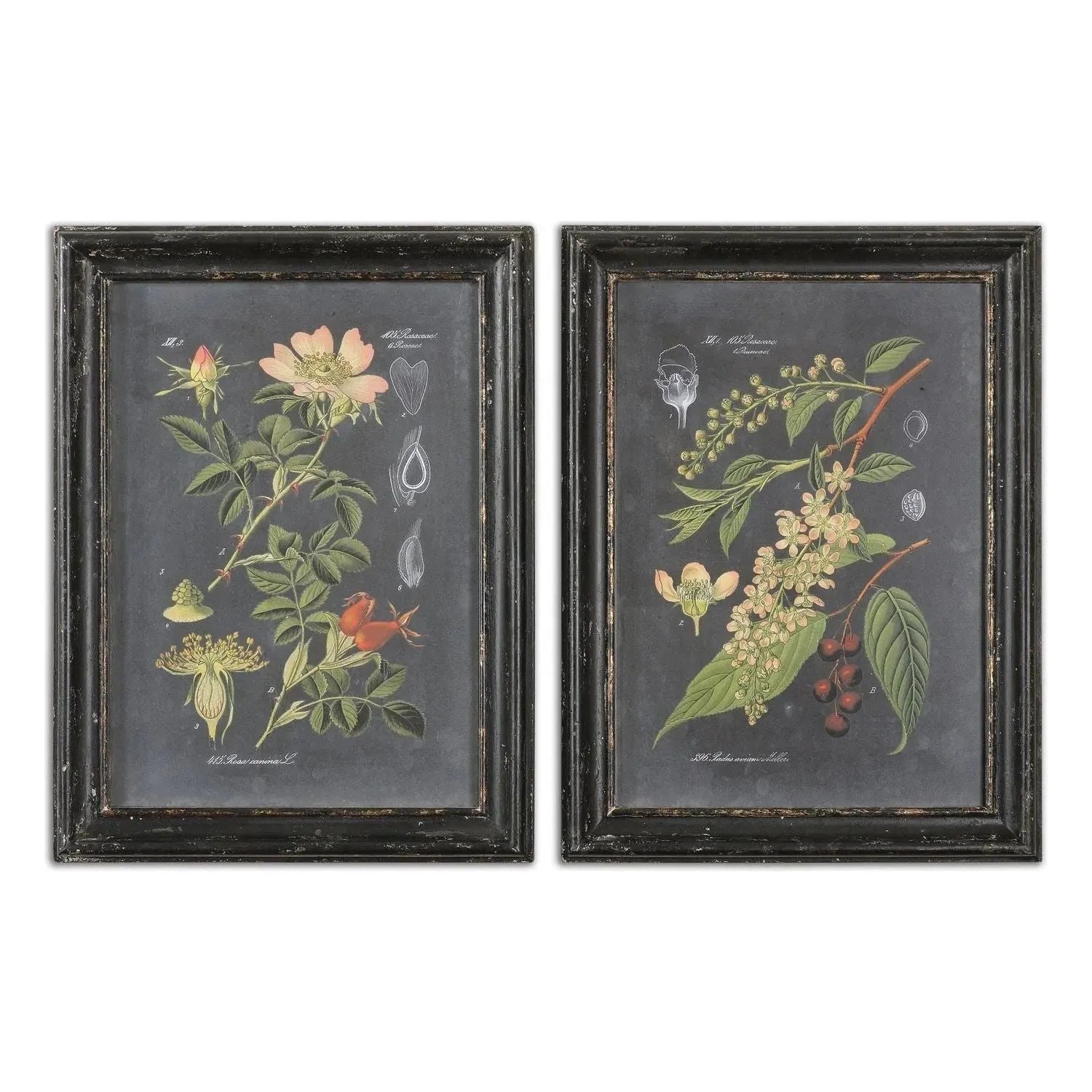 The Uttermost - Midnight Botanicals Wall Art - 56053 | The Rug District