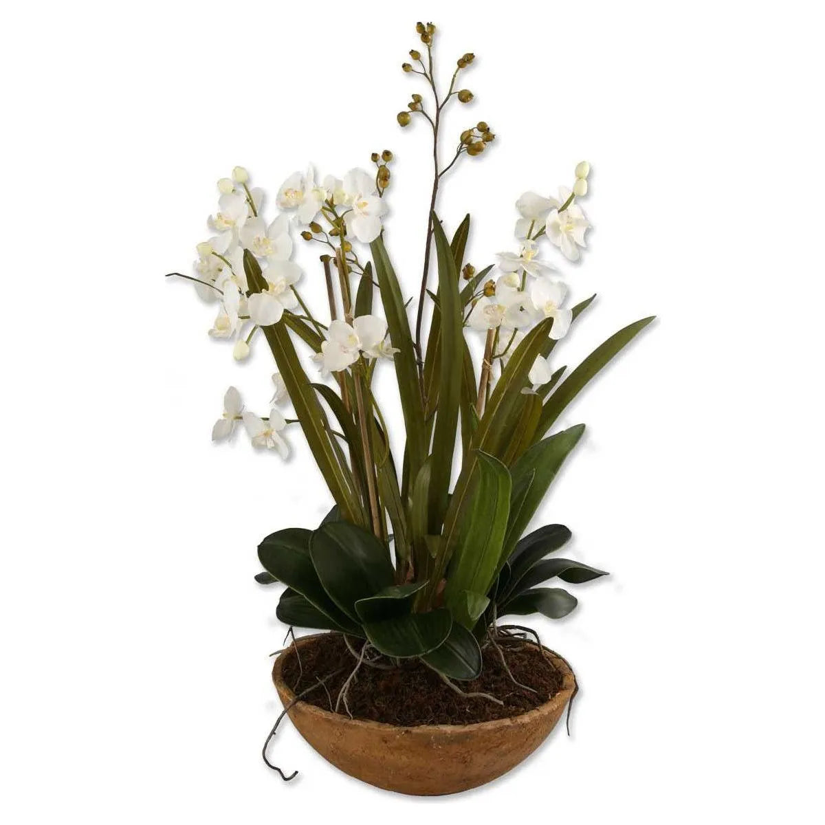 The Uttermost - Moth Orchid Planter - 60039 | The Rug District