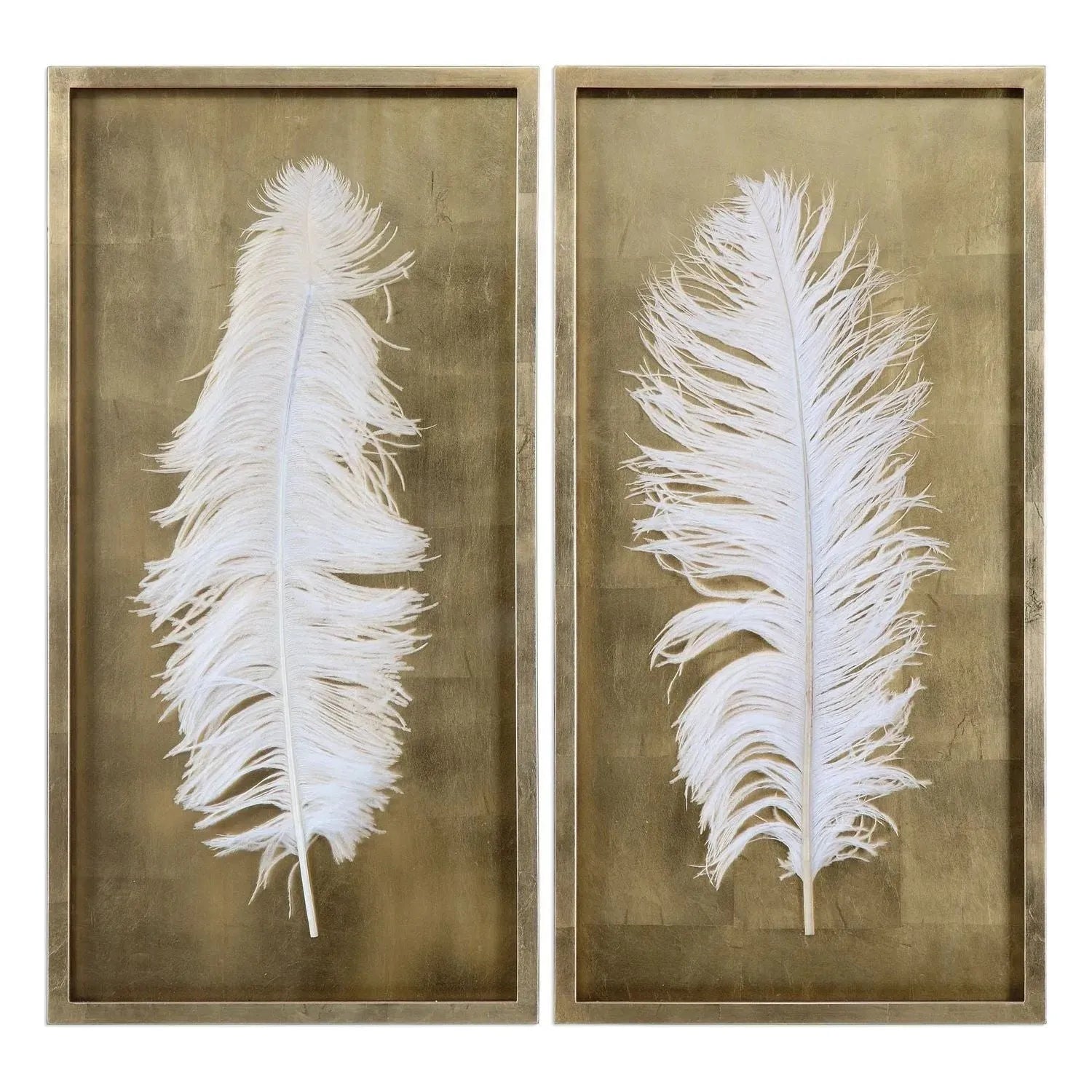 The Uttermost - White Feathers Shadow Box S/2 - 04057 | The Rug District